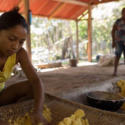 Fundação Amazonas Sustentável