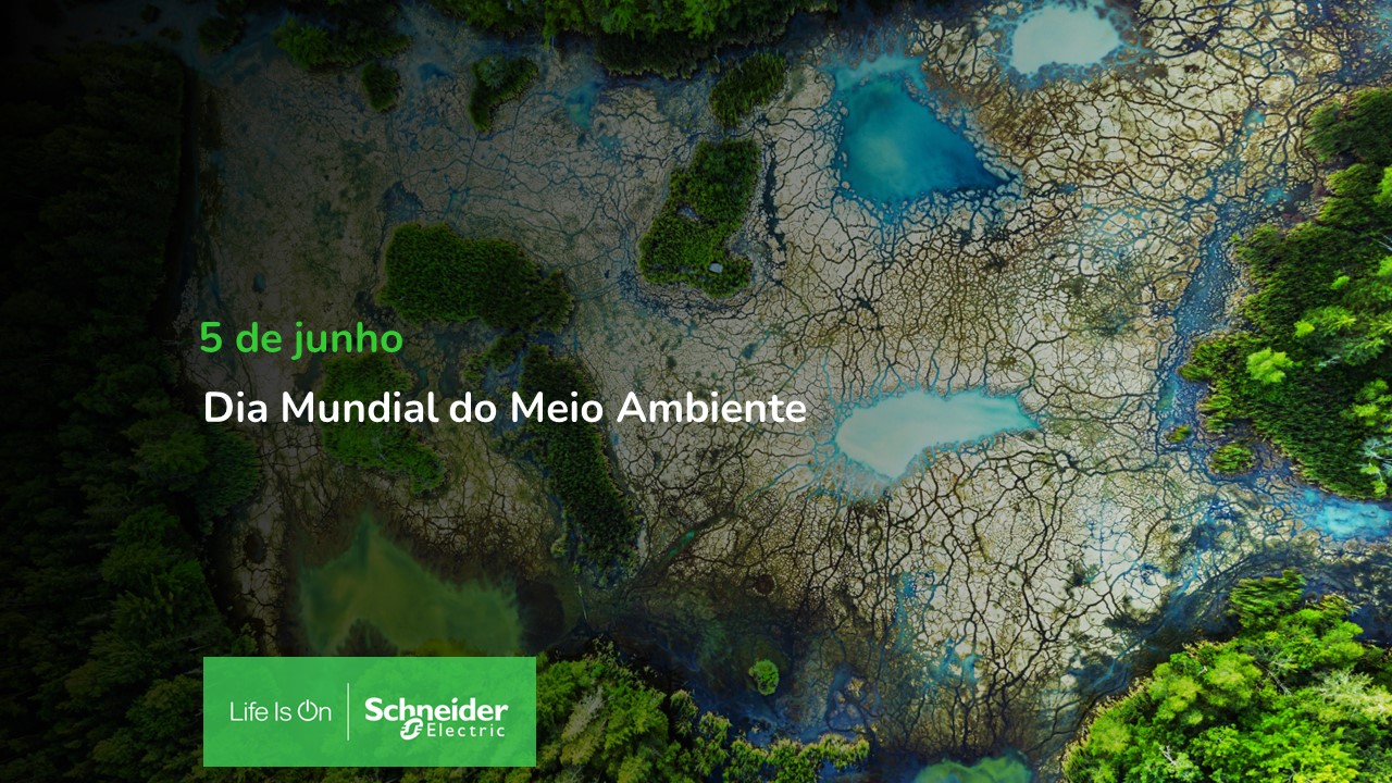 Dia Mundial do Meio Ambiente 2021: a necessidade e a urgência da