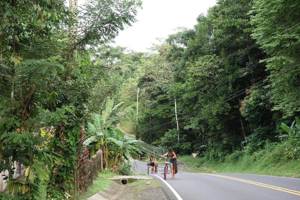 Mit dem Fahrrad im Dschungel unterwegs Umweltschutz Freiwilligenarbeit Costa Rica Freiwilligenarbeit AIESEC 