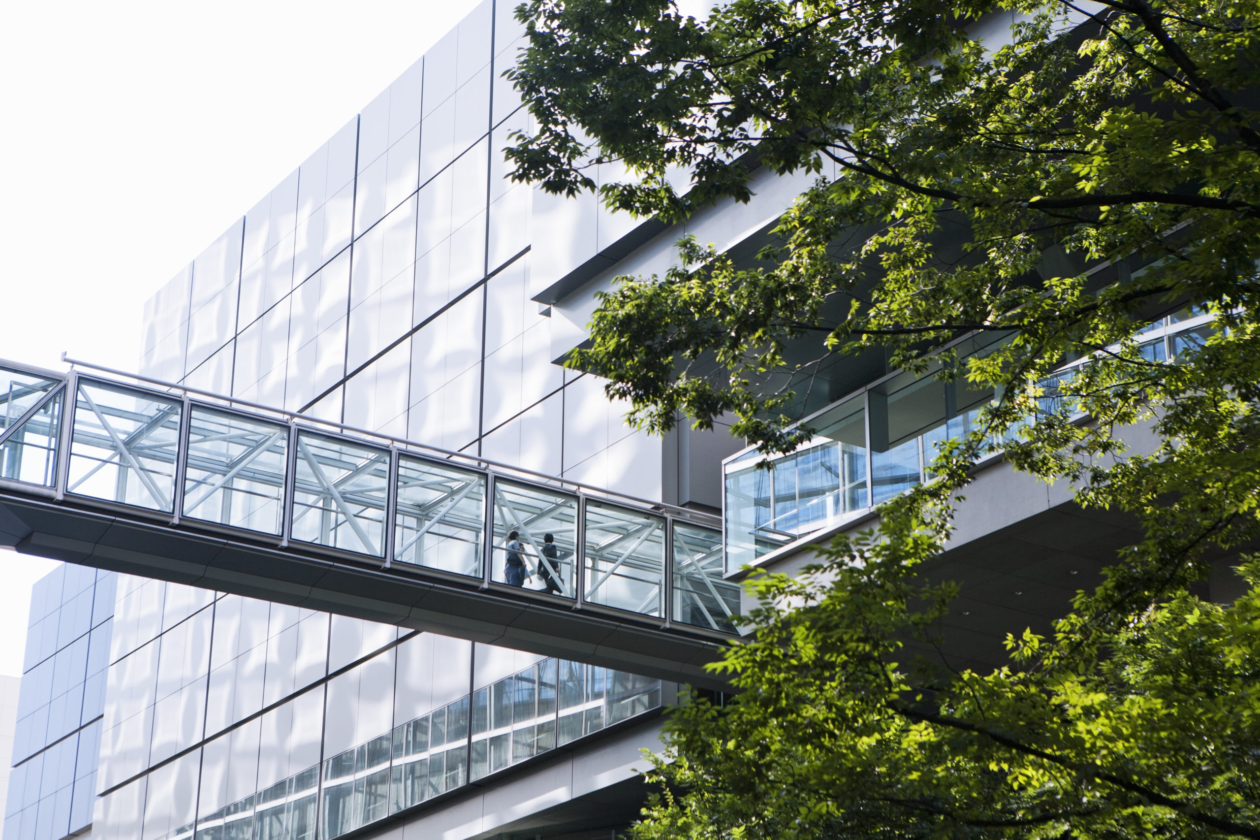 an office building and green