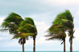 Powering the Data Center Through Hurricanes and Tornadoes - Schneider ...