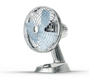 Fan