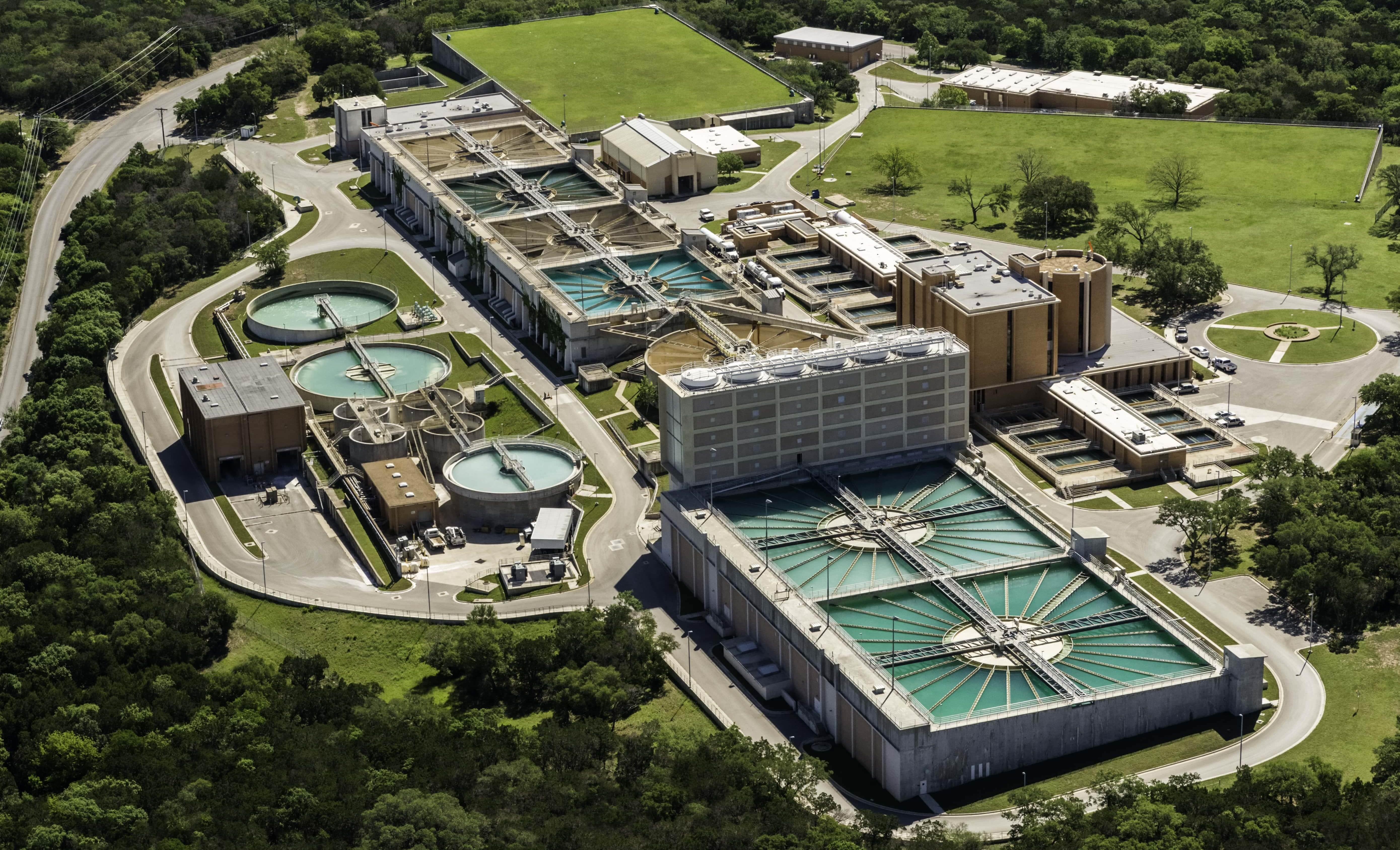 overhead shot of a water plant