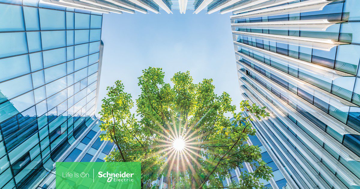 glass building with green tree showing sustainability