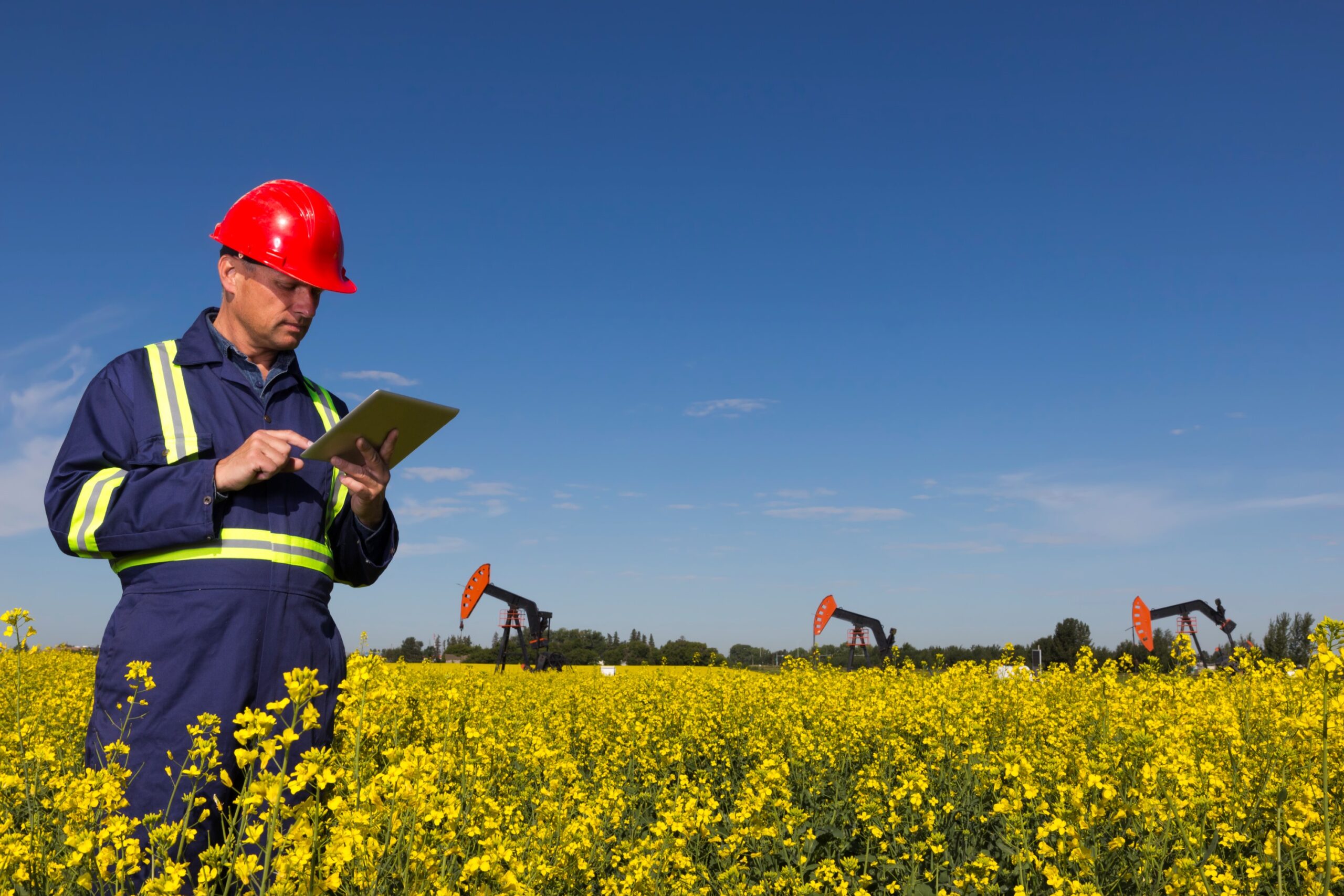 Operator stands in field monitoring oil operation