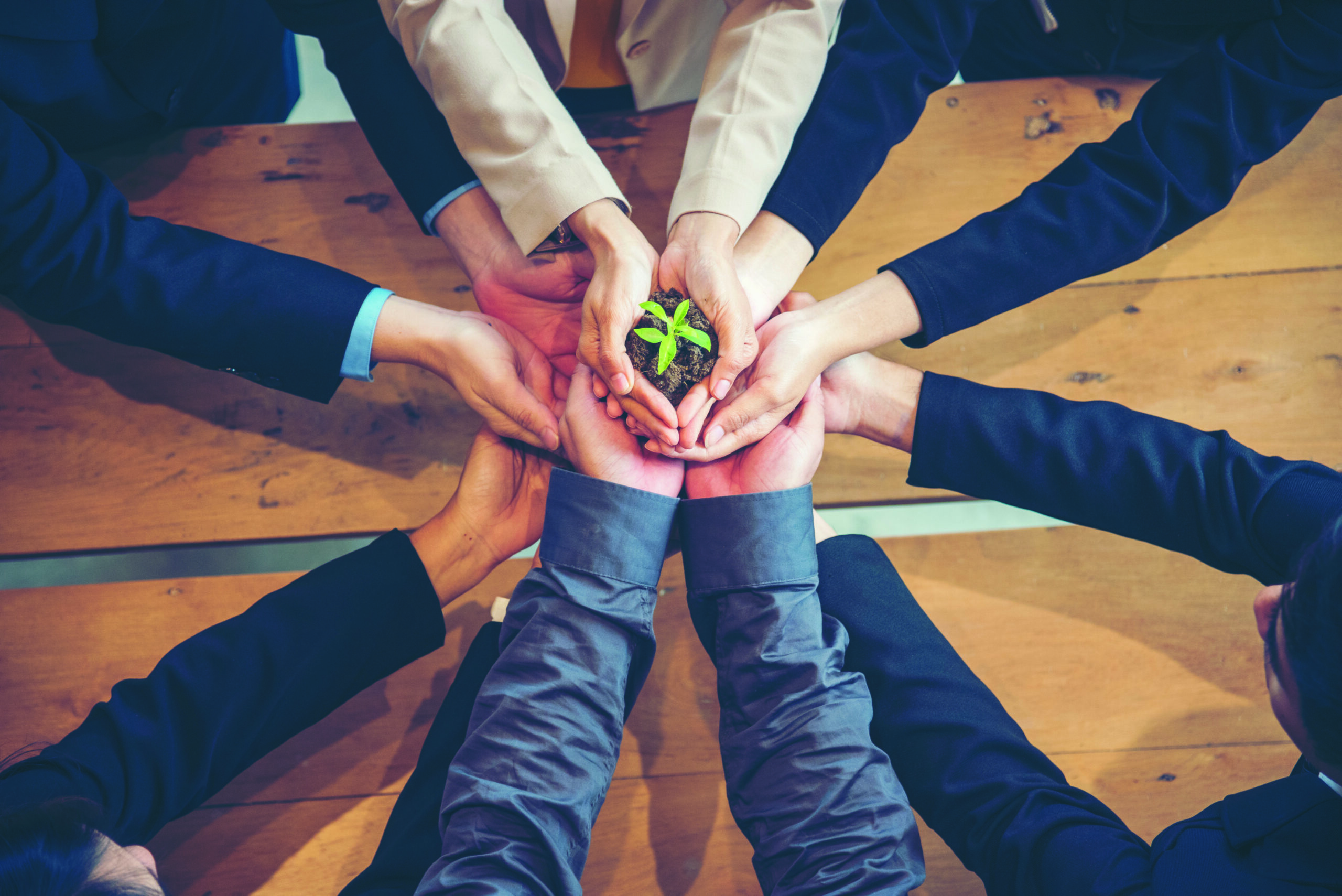 hands holding a plant building trust with employees