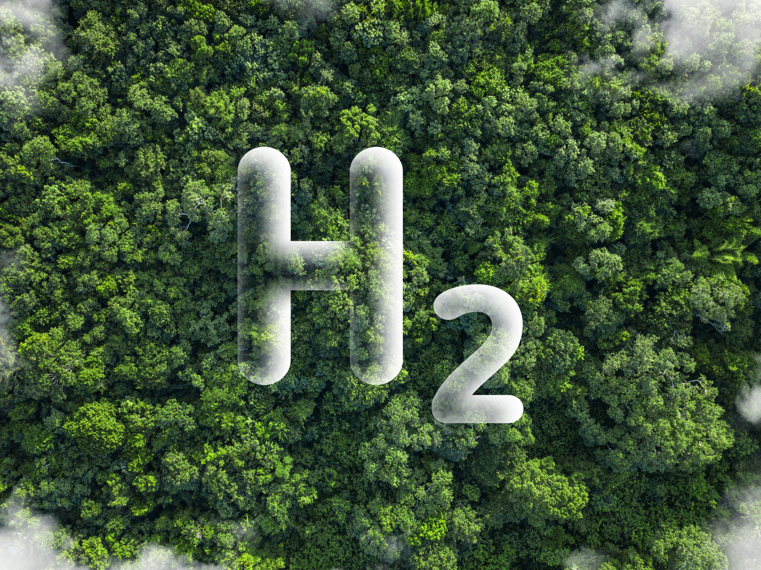 An illustration of the chemical symbol H2 representing Green hydrogen hovering over a lush, green forest.