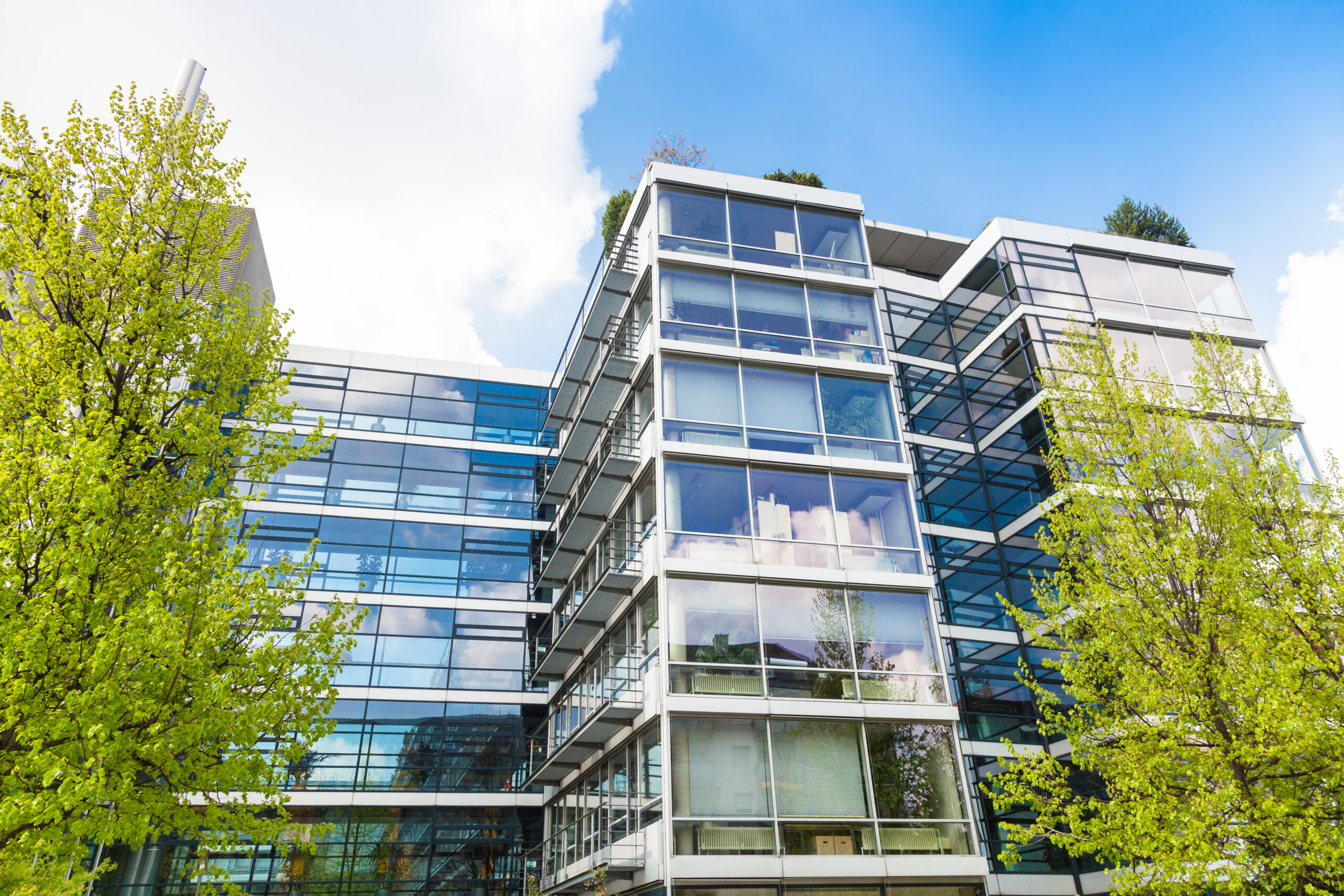 Office building set against a blue sky with spring green trees in front