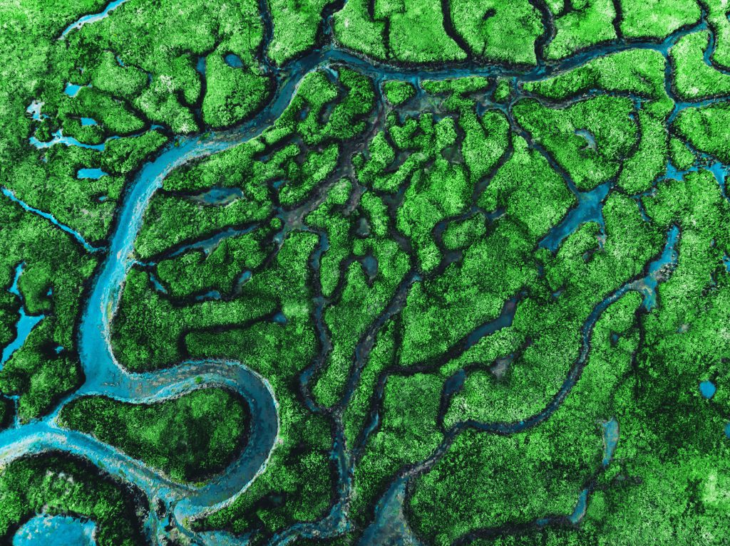 Beautiful aerial view of meandering river with affluence and green vegetation.