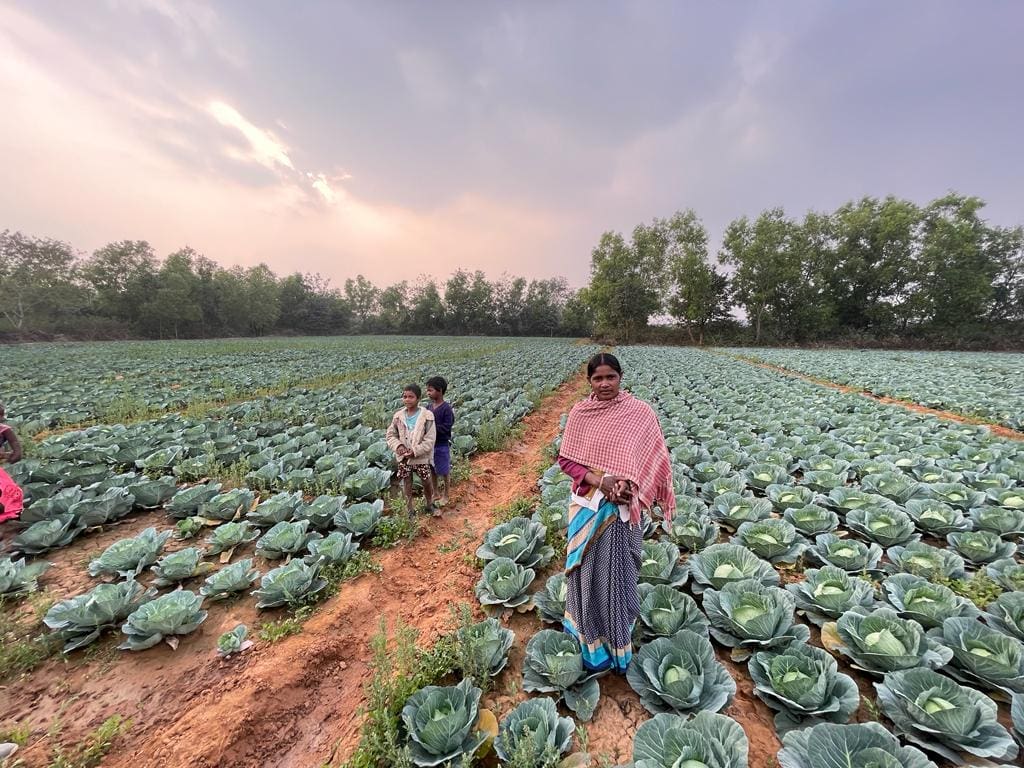 Schneider Electric's smart village solutions helping farmers in Sehal village.