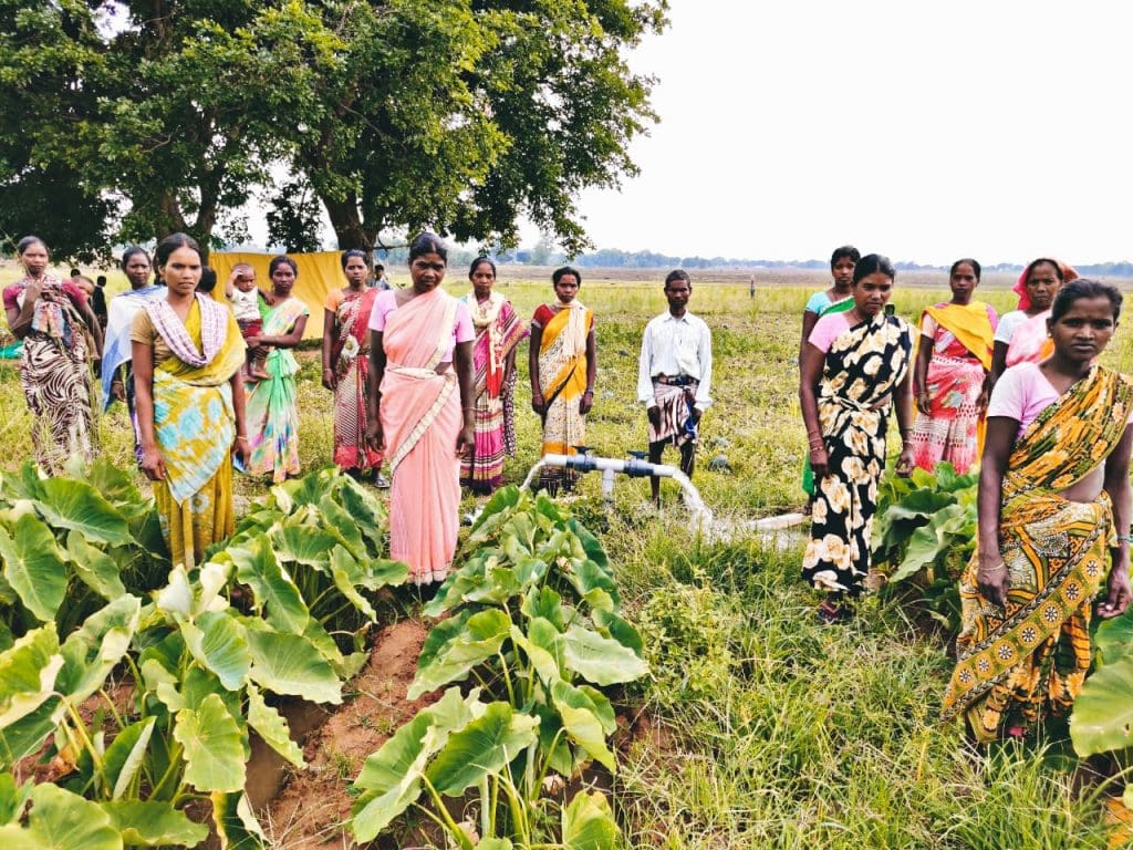 Farmer Producer Organization in Sehal village